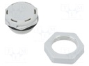 Pressure compensation device; IP68; Thread: M20; Body: light grey