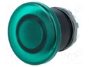 Switch: push-button; Stabl.pos: 1; 22mm; green; Illumin: MLB-1; IP66