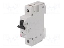 Circuit breaker; 230/400VAC; Inom: 40A; Poles: 1; DIN; Charact: C