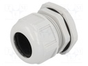 Cable gland; M50; IP68; Mat: polyamide; light grey; UL94V-2