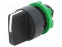 Switch: rotary; Stabl.pos: 3; 22mm; black; Illumin: none; IP66; Pos: 3