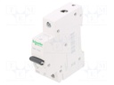 Circuit breaker; 230/400VAC; Inom: 32A; Poles: 1; DIN; Charact: B