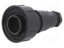 Connector: circular; plug; male; PIN: 12; Buccaneer Standard; IP68