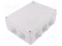 Enclosure: junction box; X: 198mm; Y: 249mm; Z: 81mm; IP55; grey