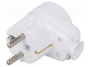 Connector: AC supply; plug/socket; Layout: 2P+PE; white; 250VAC