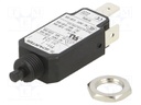 Circuit breaker; Urated: 240VAC; 48VDC; 13A; SPST; Poles: 1; screw