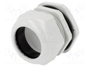 Cable gland; PG48; IP67; Mat: polyamide; grey