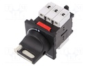 Main emergency switch-disconnector; Poles: 3; 12A; TeSys VARIO