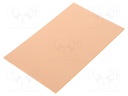 Laminate; hard paper; 1.6mm; L: 100mm; W: 160mm; Coating: copper