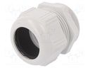 Cable gland; M50; Mat: polyamide; light grey