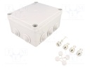 Enclosure: junction box; X: 145mm; Y: 170mm; Z: 87mm; wall mount