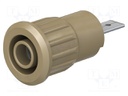 Socket; 4mm banana; 24A; 1kV; Cutout: Ø12.2mm; brown; nickel plated