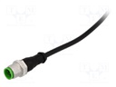 Connection lead; M12; PIN: 3; straight; 5m; plug; 250VAC; 4A; IP67