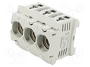 Fuse holder; protection switchgear; D01; DIN; 16A; 400V; Poles: 3