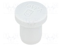 Stopper; M16,PG13,5; Mat: polyamide; Man.series: 107VS VM