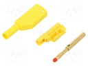 Plug; 4mm banana; 32A; 1kV; yellow-green; with 4mm axial socket