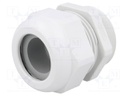 Cable gland; PG36; IP68; Mat: polyamide; light grey; UL94V-0