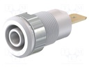 Socket; 4mm banana; 32A; 1kV; Cutout: Ø12.2mm; white; gold-plated