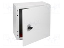 Enclosure: multipurpose; X: 300mm; Y: 300mm; Z: 200mm; CS; steel; grey