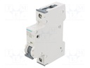 Circuit Breaker, MCB, 5SY6, 1P, 6 kA, 400 V, 25 A