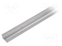 Profiles for LED modules; surface; natural; L: 2m; aluminium