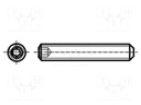 Screw; M6x30; DIN: 913; Head: without head; imbus; steel; HEX 3mm