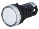 Control lamp; 22mm; L22; -20÷60°C; Illumin: LED 24VDC; Ø22.5mm