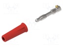 Plug; 4mm banana; 36A; 30VAC; 60VDC; red; non-insulated; on cable