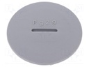 Stopper; PG29; Mat: polyamide; dark grey; Pcs: 10