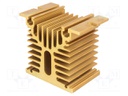 Heatsink: extruded; Y; golden; L: 50mm; W: 80mm; H: 70mm; aluminium