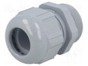 Cable gland; PG21; IP68; Mat: polyamide; dark grey