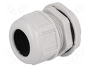 Cable gland; PG29; IP68; Mat: polyamide; light grey; UL94V-2