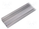 Profile; aluminium; L: 1000mm; X: 43.5mm; Z: 23mm