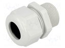 Cable gland; with long thread; M25; IP68; Mat: polyamide