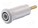 Socket; 2mm banana; Overall len: 29mm; white; Mounting: plug-in