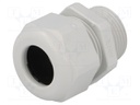 Cable gland; NPT3/4"; IP68; Mat: polyamide; light grey; UL94V-0