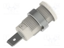 Socket; 4mm banana; 36A; 1kV; white; nickel plated; on panel,screw