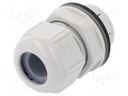 Cable gland; IP68; Mat: polyamide; light grey; push-in