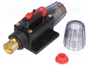 Fuse: automatic; automotive; 30A; black; 12÷48VDC; 4.2x10x4.2mm