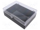 Container: box; polystyrene