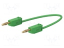 Test lead; 60VDC; 30VAC; 10A; banana plug 2mm,both sides; green