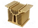 Heatsink: extruded; Y; golden; L: 70mm; W: 110mm; H: 81mm; aluminium