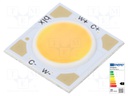 Power LED; COB,bicolour; white warm/cold white; 250mA; P: 8.7W