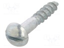 Screw; for wood