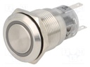 Switch: vandal resistant; Pos: 2; SPDT; 0.5A/220VAC; 1A/24VDC; IP67