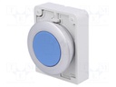 Switch: push-button; Stabl.pos: 1; 30mm; blue; none; IP67; Pos: 2