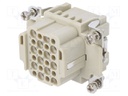 Connector: HDC; contact insert; female; DDD; PIN: 24; 24+PE; crimped