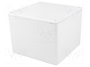 Enclosure: multipurpose; X: 120mm; Y: 120mm; Z: 94mm; 1591; ABS; grey