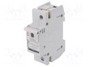 Fuse disconnector; D02; Mounting: for DIN rail mounting; 63A