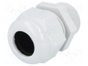 Cable gland; NPT3/4"; IP68; Mat: polyamide; grey